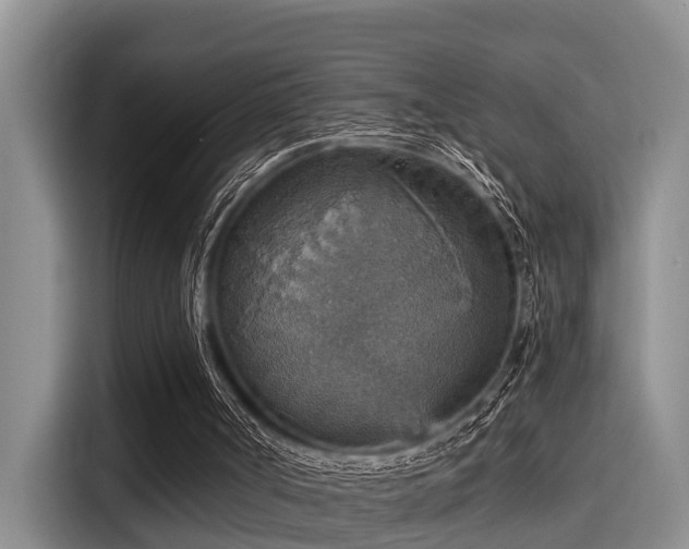 X0000115450002200911121203