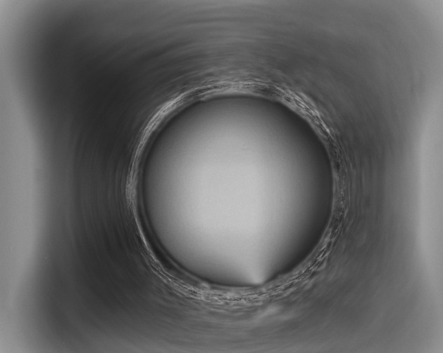 X0000115450003200911121203