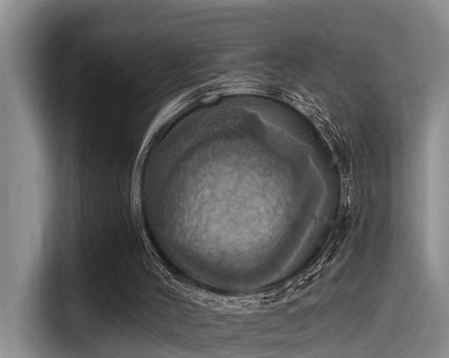 X0000115450004200911121203