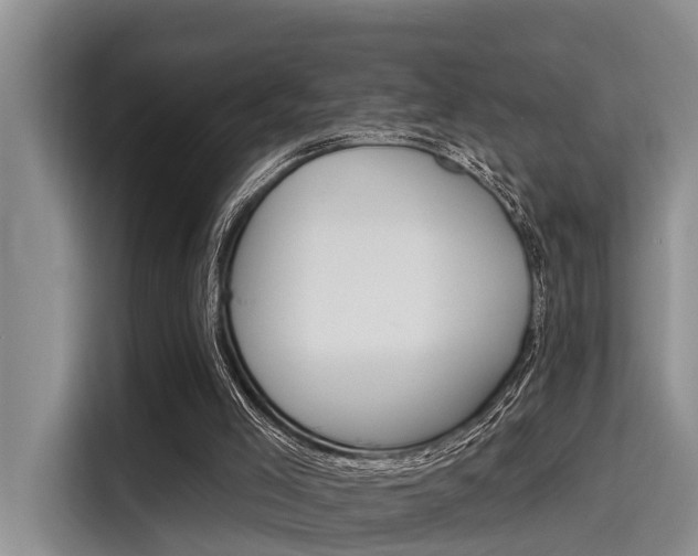 X0000115450005200911121203