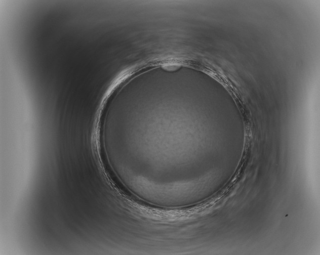 X0000115450006200911121203