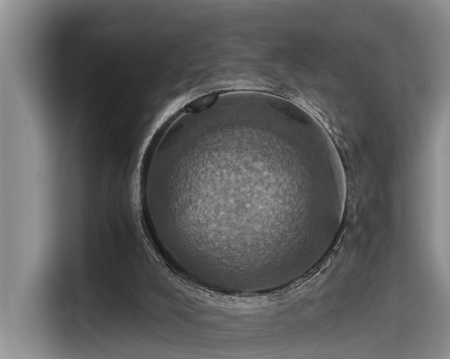 X0000115450008200911121203