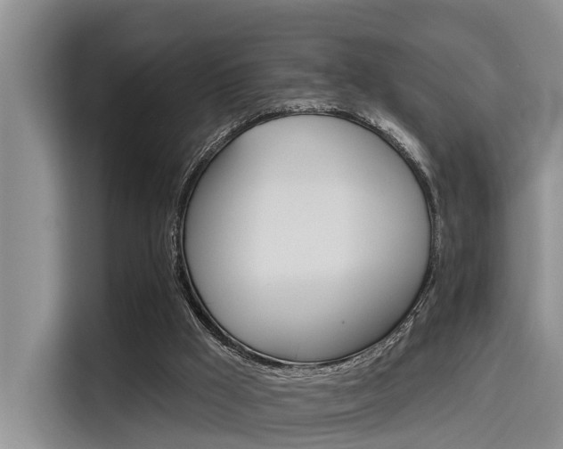 X0000115450009200911121203