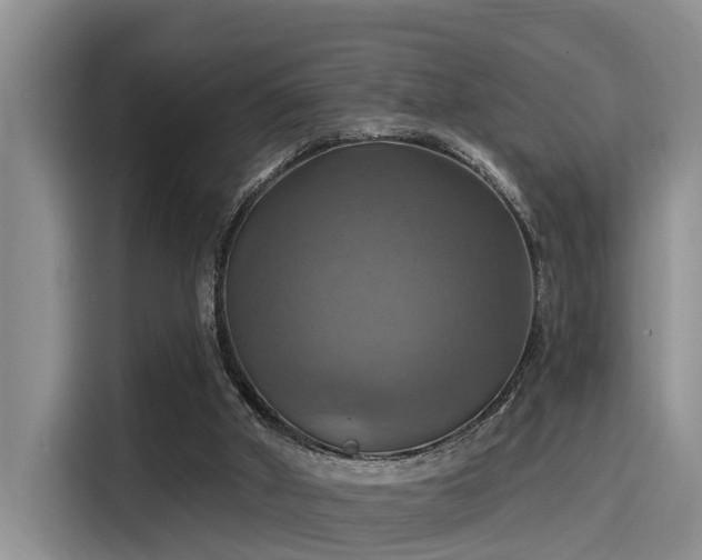 X0000115450010200911121203