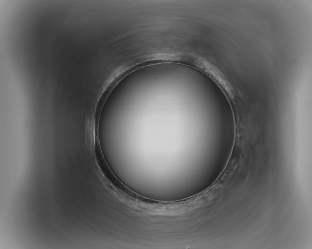 X0000115450011200911121203