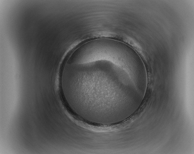 X0000115450012200911121203