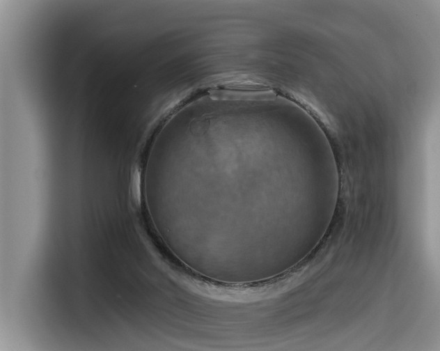 X0000115450014200911121203