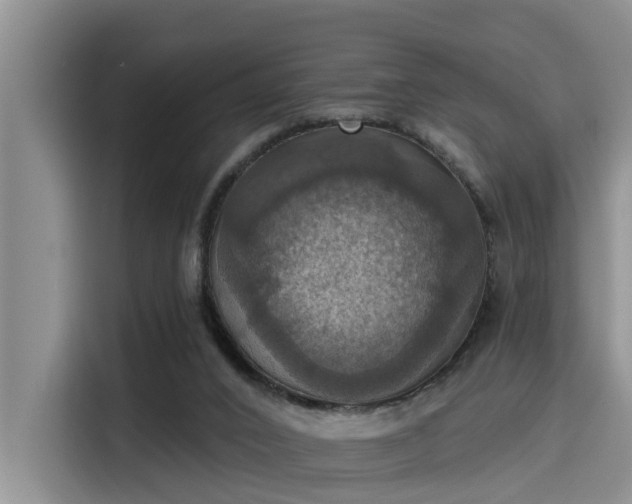 X0000115450016200911121203