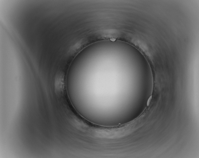 X0000115450017200911121203