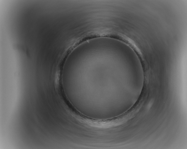 X0000115450018200911121203