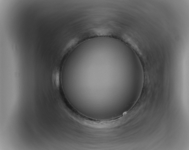 X0000115450019200911121203