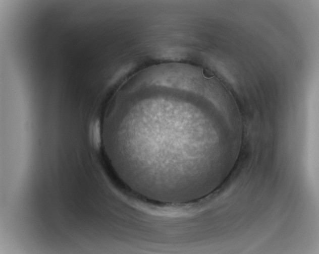 X0000115450020200911121203