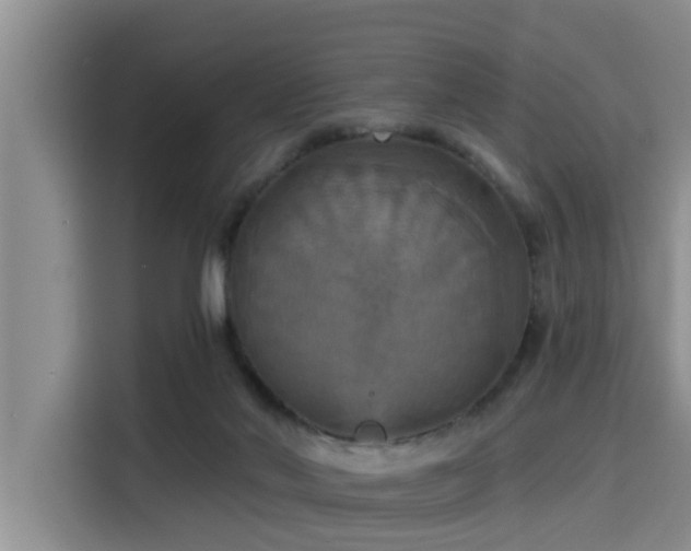 X0000115450022200911121203