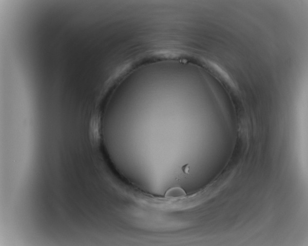 X0000115450023200911121203