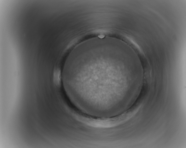 X0000115450024200911121203