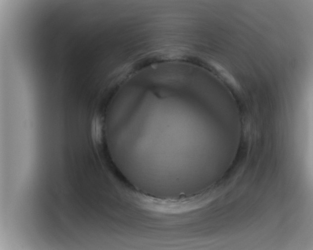 X0000115450026200911121203