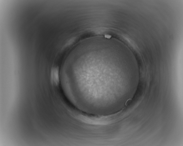 X0000115450028200911121203