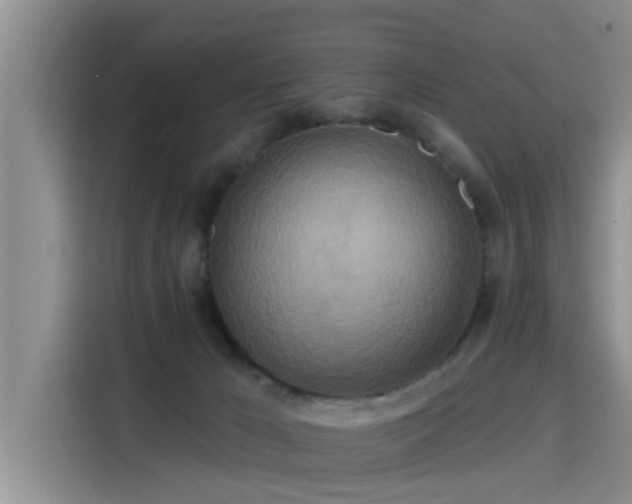 X0000115450029200911121203