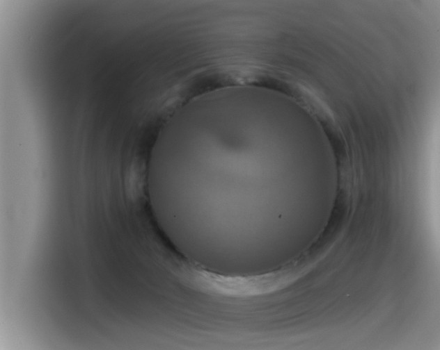 X0000115450030200911121203