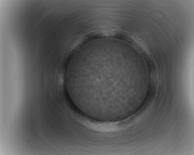 X0000115450032200911121202