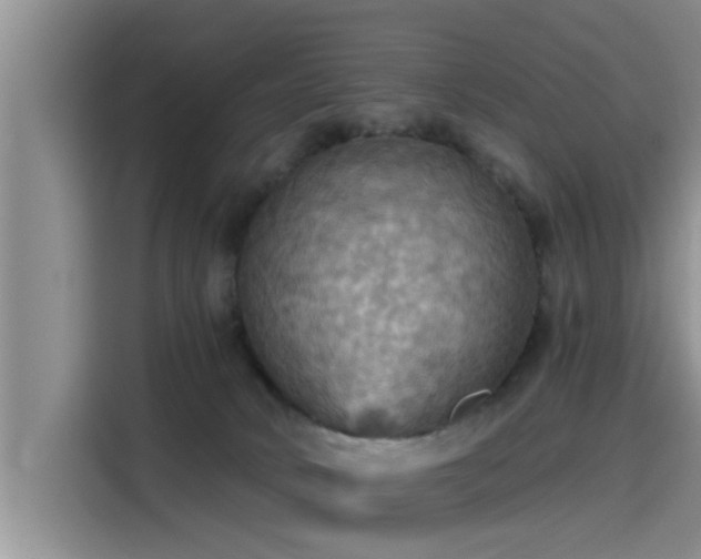 X0000115450034200911121202