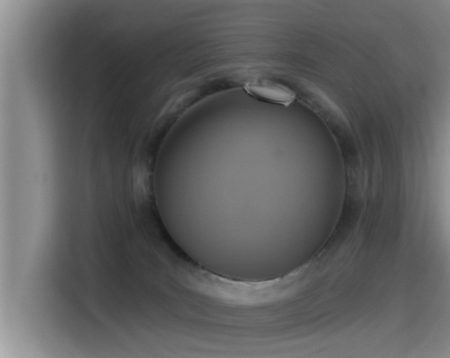 X0000115450035200911121202