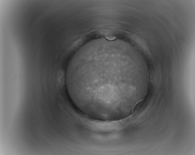 X0000115450036200911121202