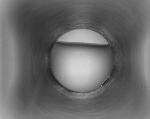 X0000115450037200911121202