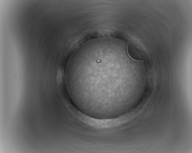 X0000115450038200911121202