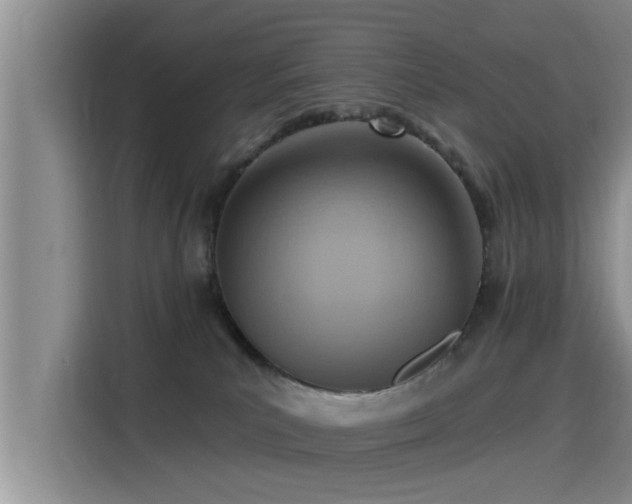 X0000115450039200911121202