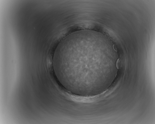 X0000115450040200911121202