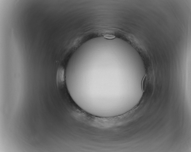 X0000115450041200911121202