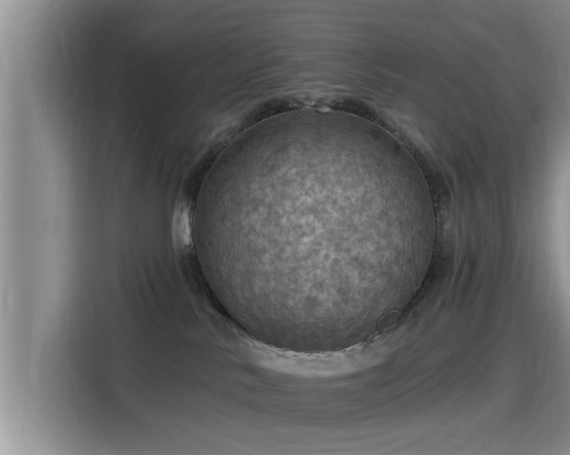 X0000115450042200911121202