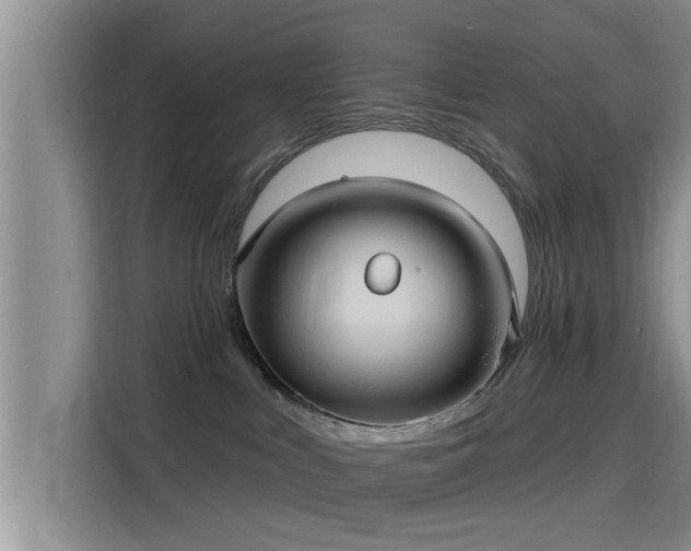 X0000115450043200911121202