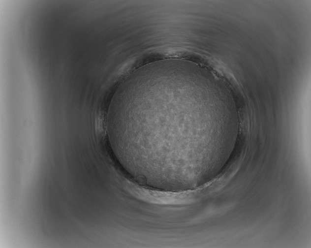 X0000115450044200911121202