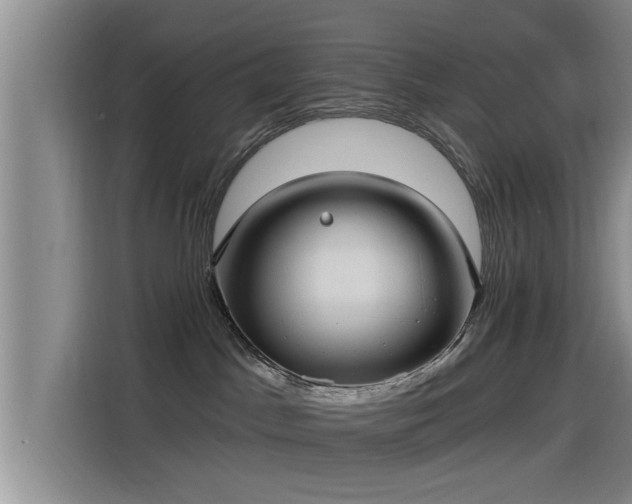 X0000115450045200911121202