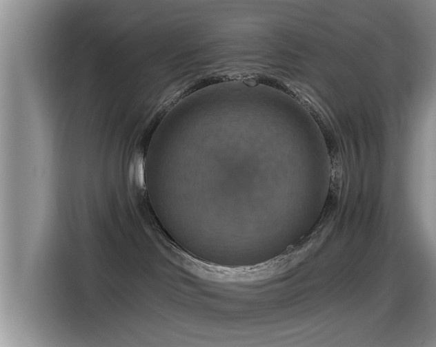 X0000115450046200911121202