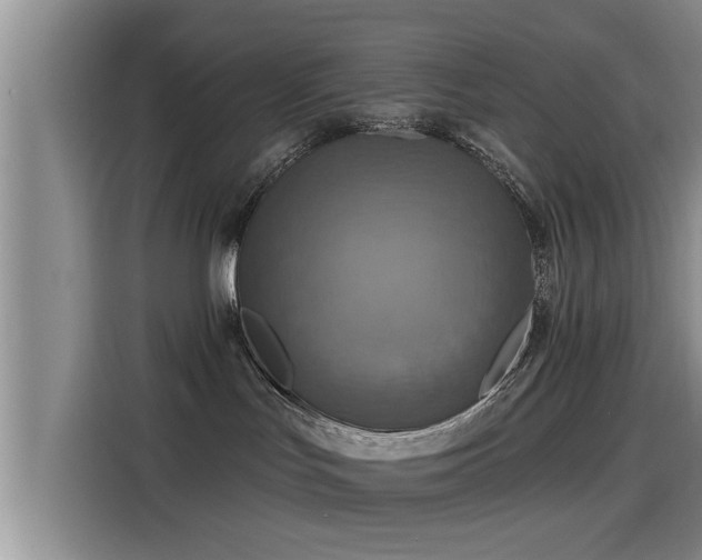 X0000115450047200911121202