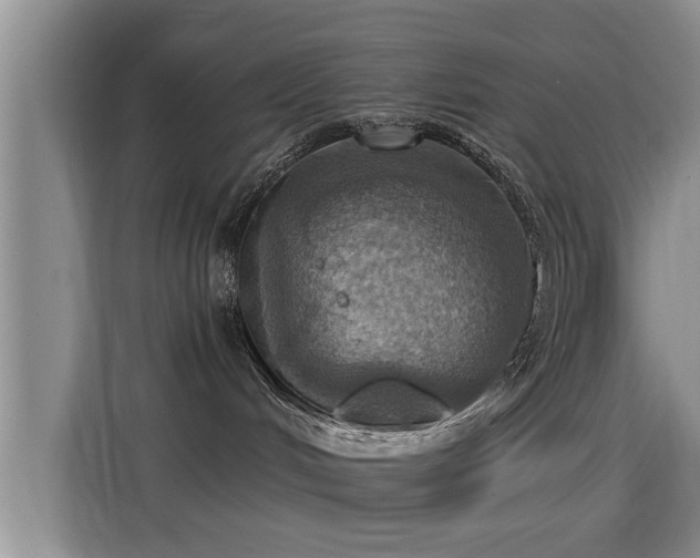 X0000115450048200911121202