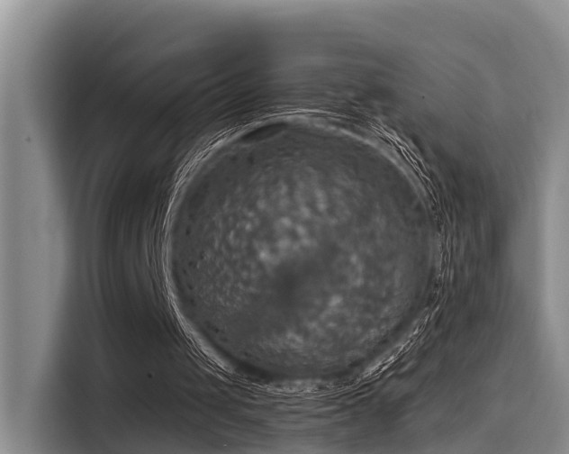 X0000115450049200911121202