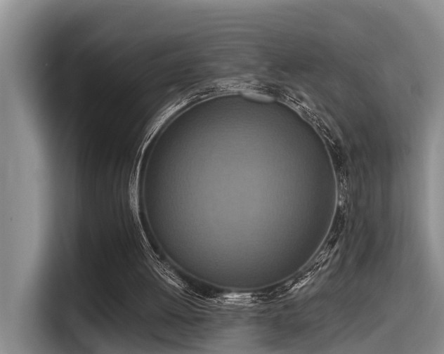 X0000115450052200911121202