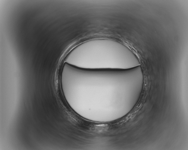 X0000115450053200911121202