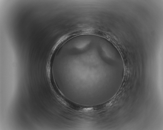 X0000115450054200911121202