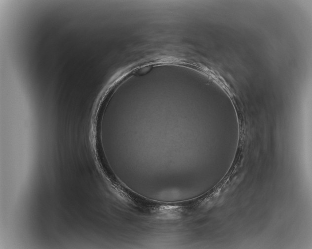 X0000115450055200911121202