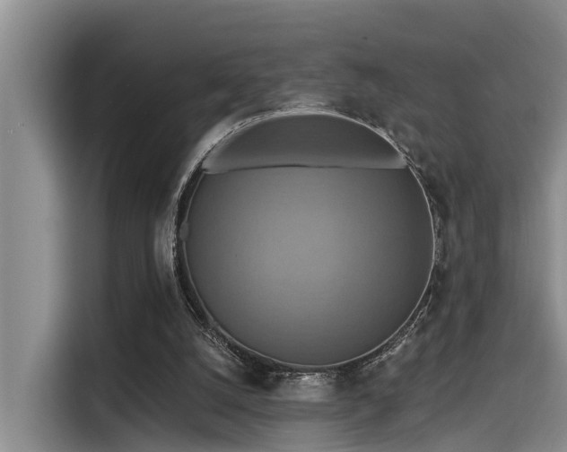 X0000115450056200911121202