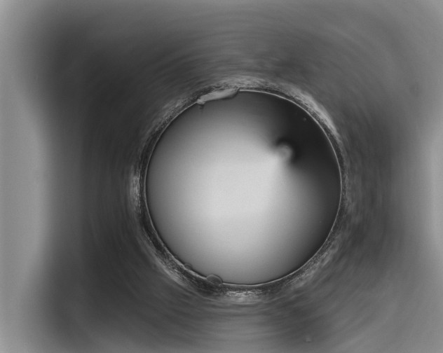 X0000115450057200911121202