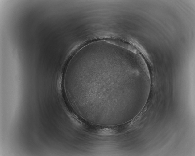 X0000115450058200911121202