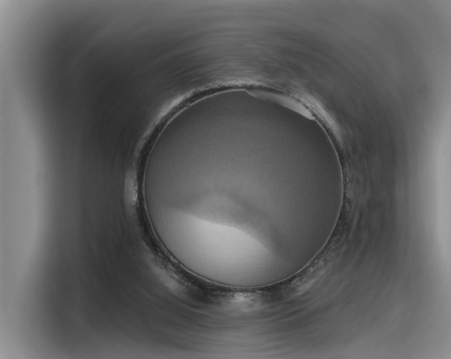 X0000115450060200911121202