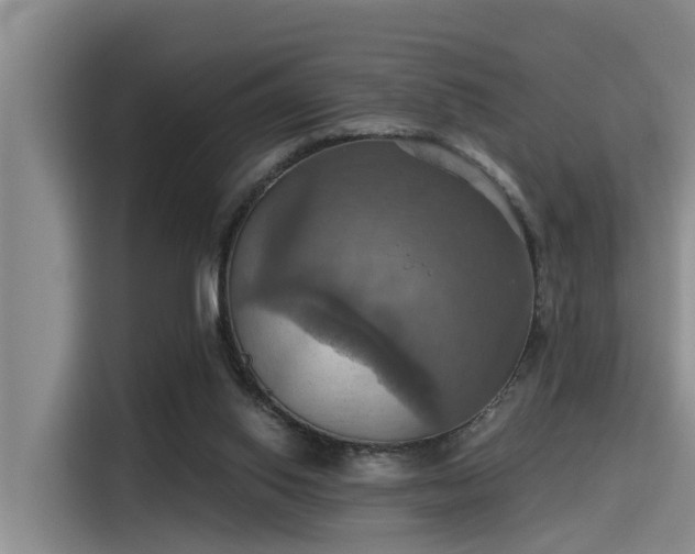 X0000115450062200911121202