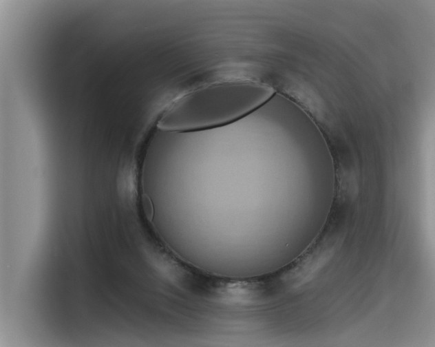 X0000115450064200911121202